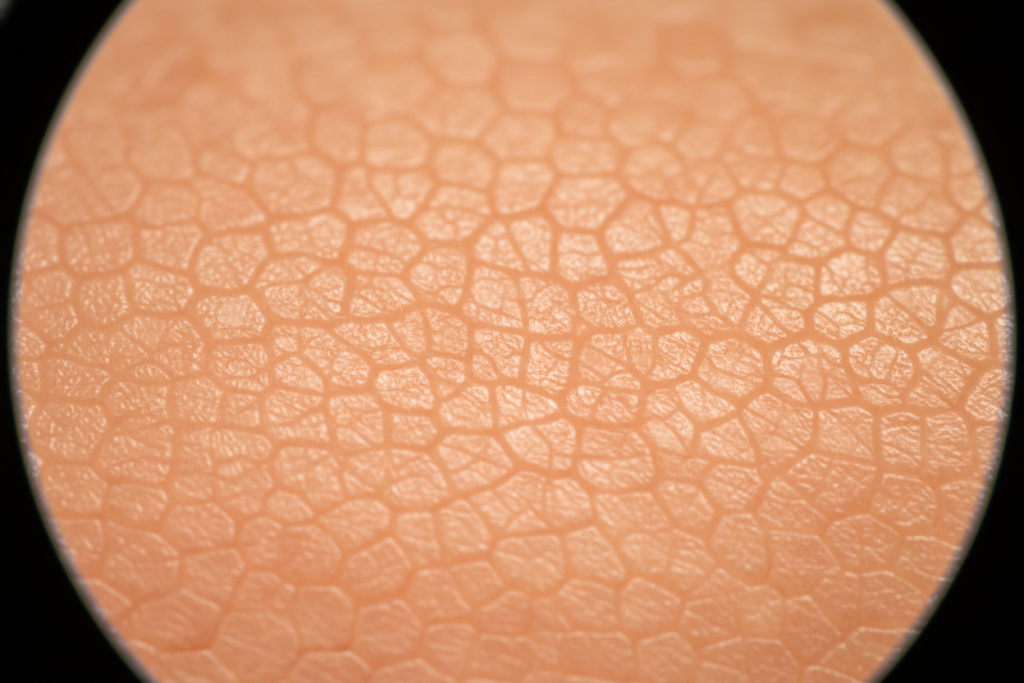 Close-up of healthy skin texture showing even tone and natural glow